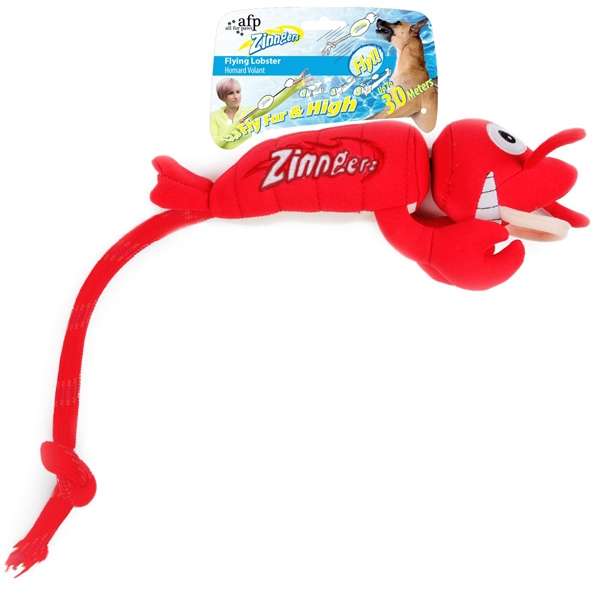 All for Paws Chill Out Zinngers Hummer mit Schleuder